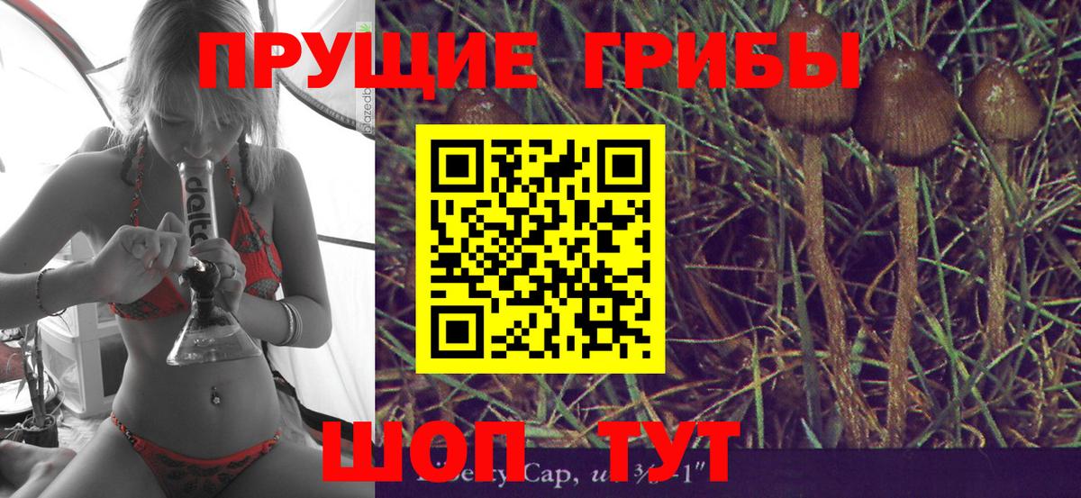 Галлюциногенные грибы Cubensis  Вход с VPN  Артёмовский  Псилоцибиновые грибы Cubensis 